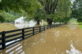 Recent storms with heavy rains have caused extensive flooding and damage in Kentucky