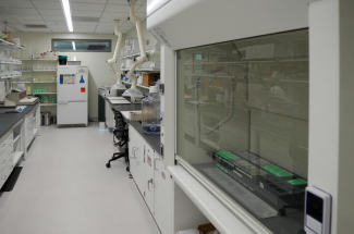 A newly renovated wet lab in the Sanders-Brown research facility.A newly renovated wet lab in the Sanders-Brown research facility.A newly renovated wet lab in the Sanders-Brown research facility.A newly renovated wet lab in the Sanders-Brown research facility.A newly renovated wet lab in the Sanders-Brown research facility.A newly renovated wet lab in the Sanders-Brown research facility.A newly renovated wet lab in the Sanders-Brown research facility.A newly renovated wet lab in the Sanders-Brown research f