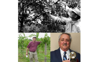 Three photos. Top: UKREC horticulture specialist W.D. “Army” Armstrong with a pecan tree. Left: The late Jerry Brown in a vineyard. Right: Win Dunwell holding and award.