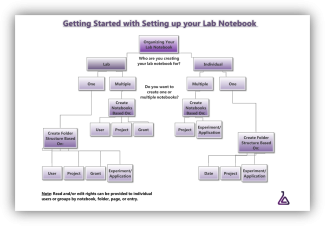 LabArchives Notebook Setup Flow Chart