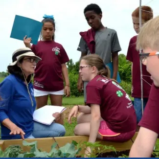 A group of children listening to a teacher near a garden bed