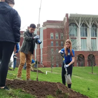 Students planting a tree outside of the UK main library
