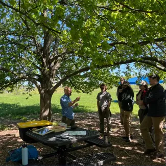 lecture under a tree