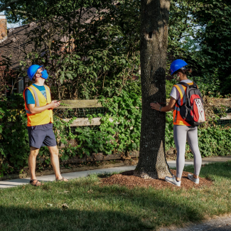 Two students in high-visibility vests investigating a tree