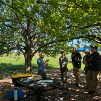 An outdoor workshop - participants stand around a tree in the shade and listen to a lecture.