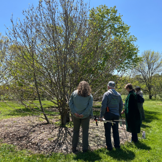 An outdoor workshop at Canopy Con - three attendees stand in front of a tree.