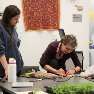 people working in the dye workshop