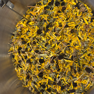 yellow flowers from the dye garden