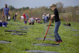 a child planting trees in a field