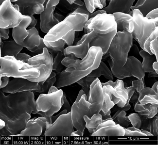 2mm SEM image