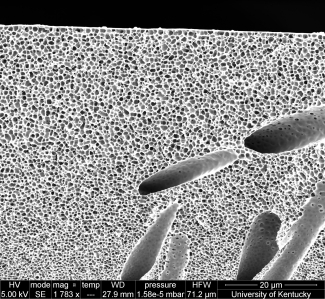 30 sec SEM image