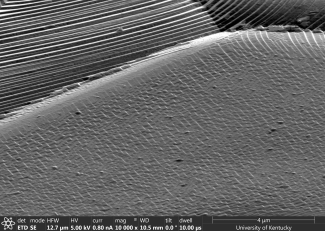 helios image Artashes