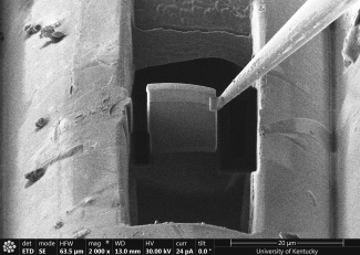 Helios image by Ashley Morris