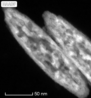 FeOOH rxn2 350C T1_2_STEM 450k-HAADF