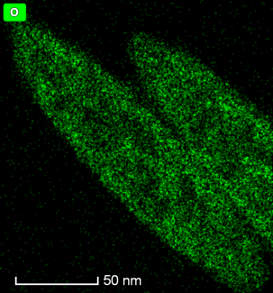 FeOOH rxn2 350C T1_2_STEM 450k-O