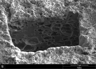 Dual Beam (SEM/FIB) image