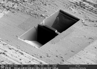 dual beam (SEM/FIB) image
