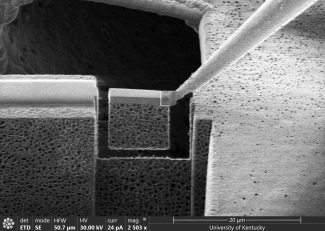 helios image by Joyner Eke