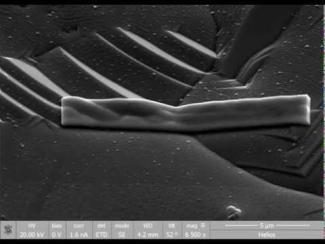 Dual Beam (SEM/FIB) image
