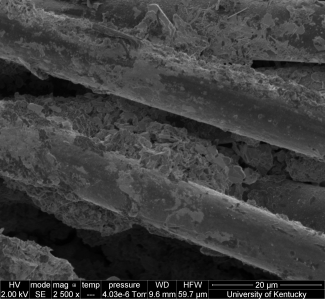 kynol long term cell