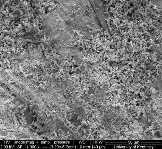 kynol long term cell