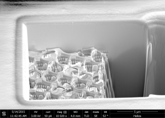 Lindsey Boehme helios image