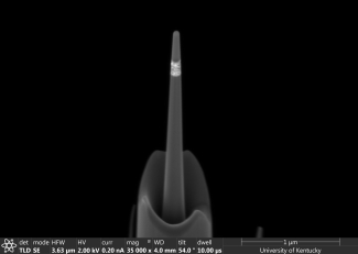 Maria Kosmidou helios image