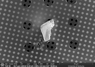 Melonie Thomas helios image