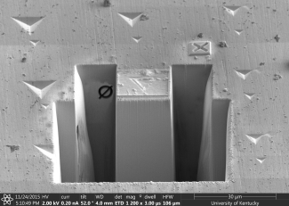 Nico Briot helios image 1