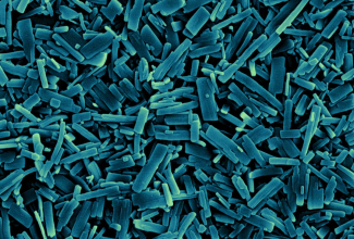 Sample-4a-ZSTK474-nxtal-homog-1-min