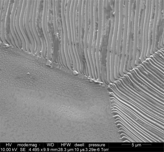 SEM Sample image 4