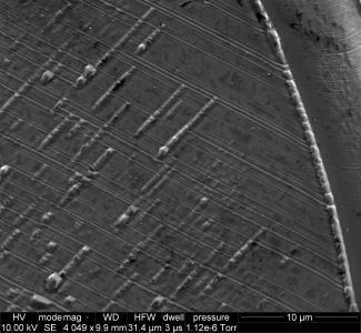 SEM Sample image 5