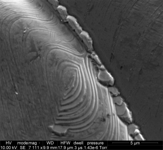 SEM Sample image 6