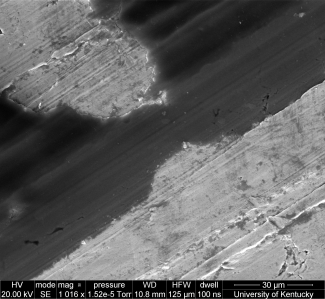 sample left MedMag texture