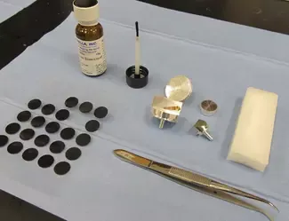 SEM samples being painted with carbon paint