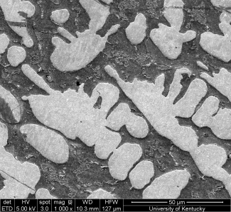 SEM Sample Edge
