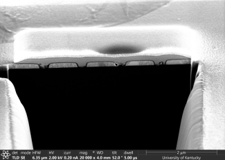 Sarah Lami helios image