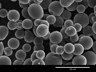 scanning electron microscope image