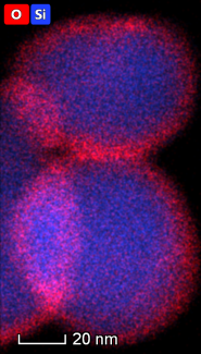 Si-C_03_HAADF-STEM_450K_map_SiO