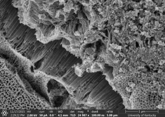 Helios image by Xiaohui Wang