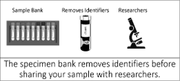 The specimen bank removes identifiers before sharing your sample with researchers.