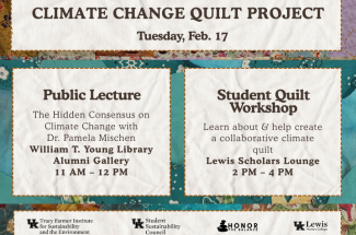 Climate Change Quilt project - Feb. 17