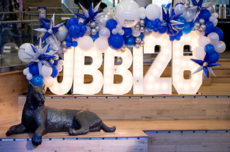 JBBI26 Light and balloon display