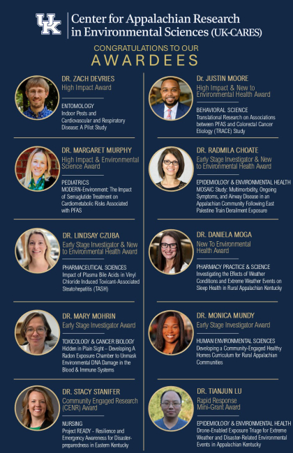 UK-CARES PILOT PROJECT AWARDEES, YEAR-9
