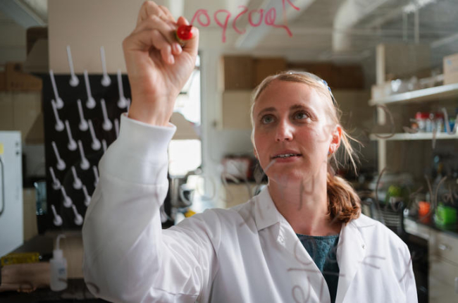 Person in a lab coat writes on a glass surface with a red marker while standing in a research laboratory. Lab equipment and supplies are visible in the background.