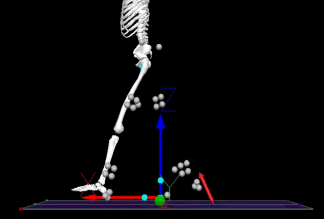 Side-view 3D motion-capture model of a human skeleton stepping forward, surrounded by tracking markers and colored arrows representing movement data.