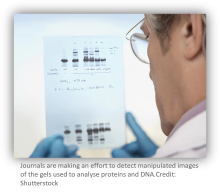 Journals are making an effort to detect manipulated images of the gels used to analyse proteins and DNA. Credit: Shutterstock