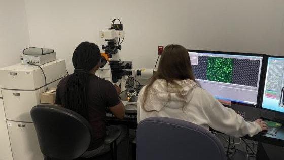 Researchers utilizing a spinning disk confocal microscope