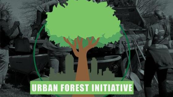 Urban Forest Initiative