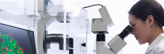 person looking into a microscope